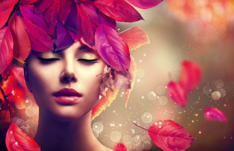 Exklusives Paket - vollen Funktionsumfang geniessen